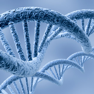 dna
