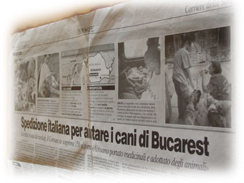 Spedizione italiana