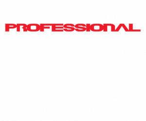 professional.openparts.it