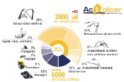 Ac Rolcar: partner ideale nella produzione e distribuzione di alzacristalli di qualità