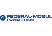Federal-Mogul Powertrain , tecnologie da "Engine of the Year 2015"