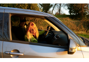 Silvia Terraneo al volante della giapponesina Suzuki Swift 4x4