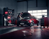 Da Wolf Oil Corporation, una gamma completa di soluzioni per i cambi automatici