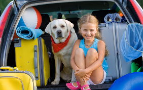 10 consigli per portare fido in vacanza con te