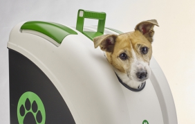 POW: il  bauletto per trasportare il tuo pet in moto e auto