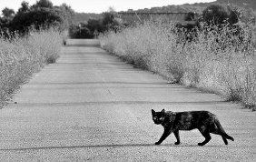 Venerdì 17 e la sfiga al volante: amuleti, credenze e riti scaramantici