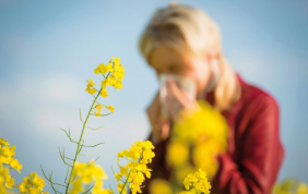 E’ primavera: controlla il filtro abitacolo