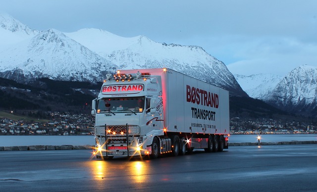 Guida sicura di un camion d'inverno, sai come farla?