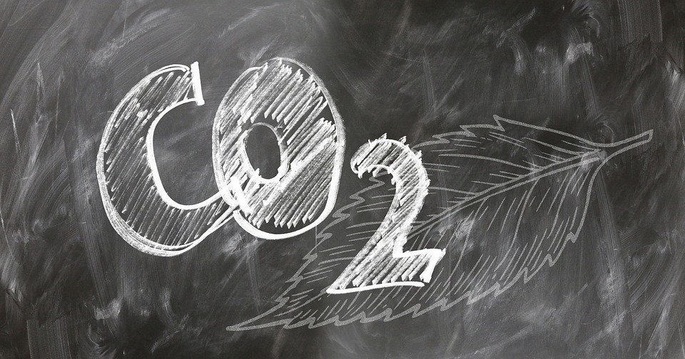 Bonus-Malus sulle emissioni di CO2 delle auto nuove
