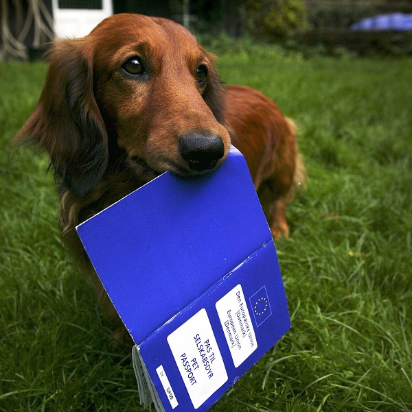 Passaporto per Animali