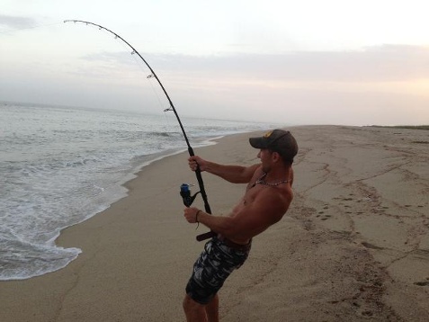 Pesca di squali