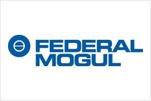 federal mogul