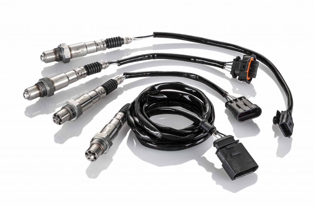 Sonde Facet