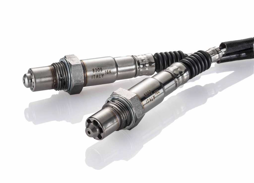 Sonde Facet