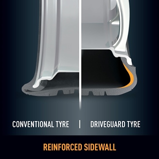 DriveGuard