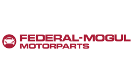 FEDERAL MOGUL ITALY SRL