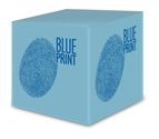 Kit cuscinetti ruota Blue Print