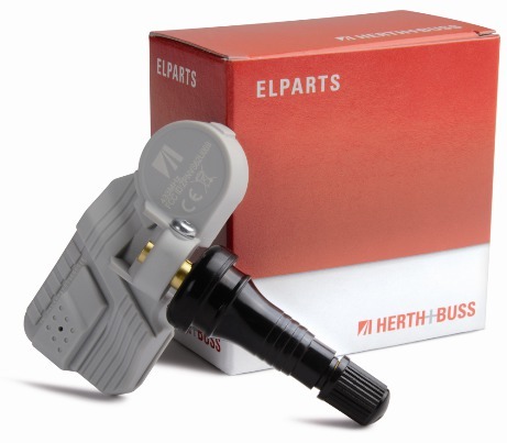 Wheel sensor with snap-in rubber valve