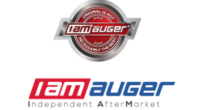 inforicambi-auger1_0-7