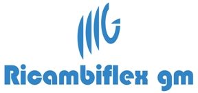 RICAMBIFLEX GM SRL