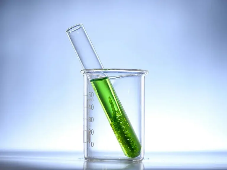 Dazi doganali: l’Europa pronta a tassare il biodiesel