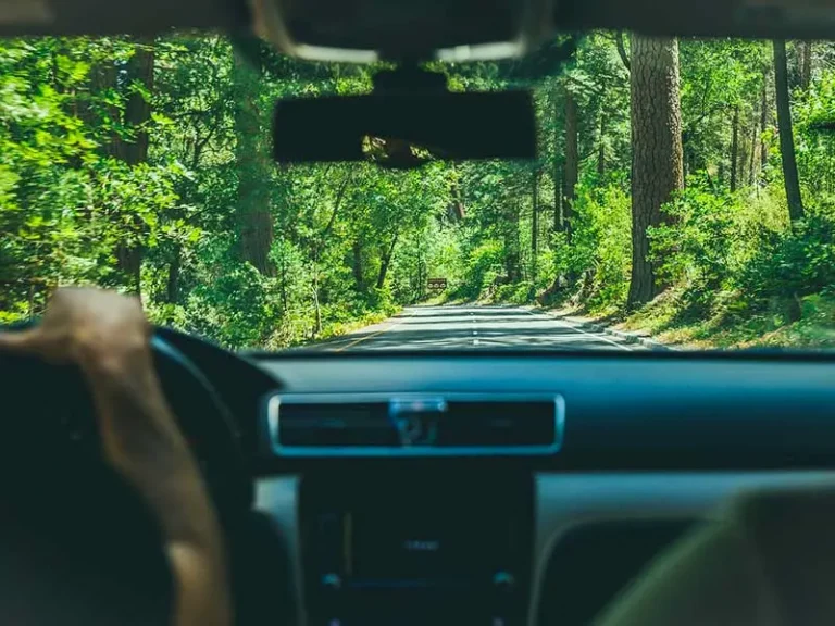 Mondo dell’auto, pronta una grande mobilitazione contro il green