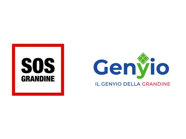 SOS Il Genyio della Grandine: innovazione e rapidità per la riparazione auto