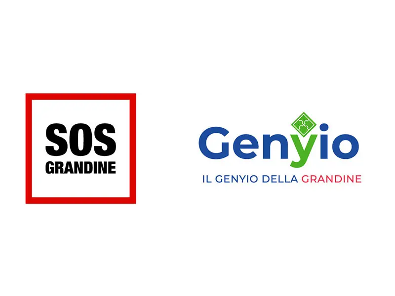 SOS Il Genyio della Grandine: innovazione e rapidità per la riparazione auto
