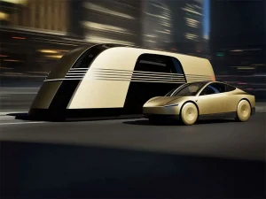 Tesla Robotaxi