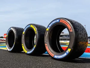 Michelin Pilot Sport Endurance 2026