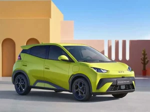 BYD Dolphin Surf
