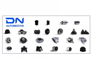 DN Automotive Italy