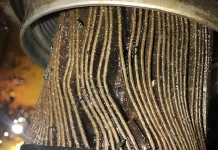 Cosa accade se non si sostituisce mai il filtro dell’olio