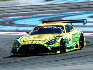 MANN-FILTER celebra dieci anni di Mamba