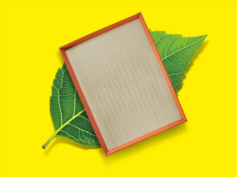 MANN-FILTER punta sui filtri con lignina vegetale