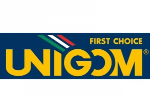 Unigom e CATI, dieci anni di collaborazione nel mercato aftermarket Unigom e CATI, dieci anni di collaborazione nel mercato aftermarket