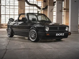 DOTZ Bilbao: il fascino delle razze incrociate incontra la tecnologia moderna DOTZ Bilbao