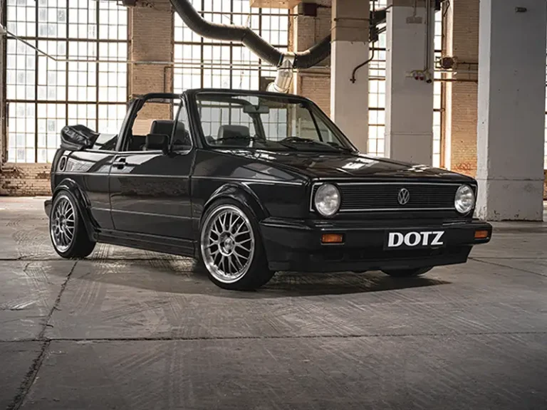 DOTZ Bilbao: il fascino delle razze incrociate incontra la tecnologia moderna
