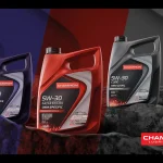 Champion ID